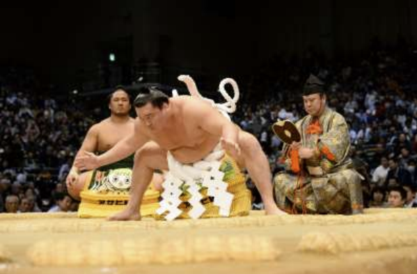 大相撲観戦ツアー ホンパトラベル